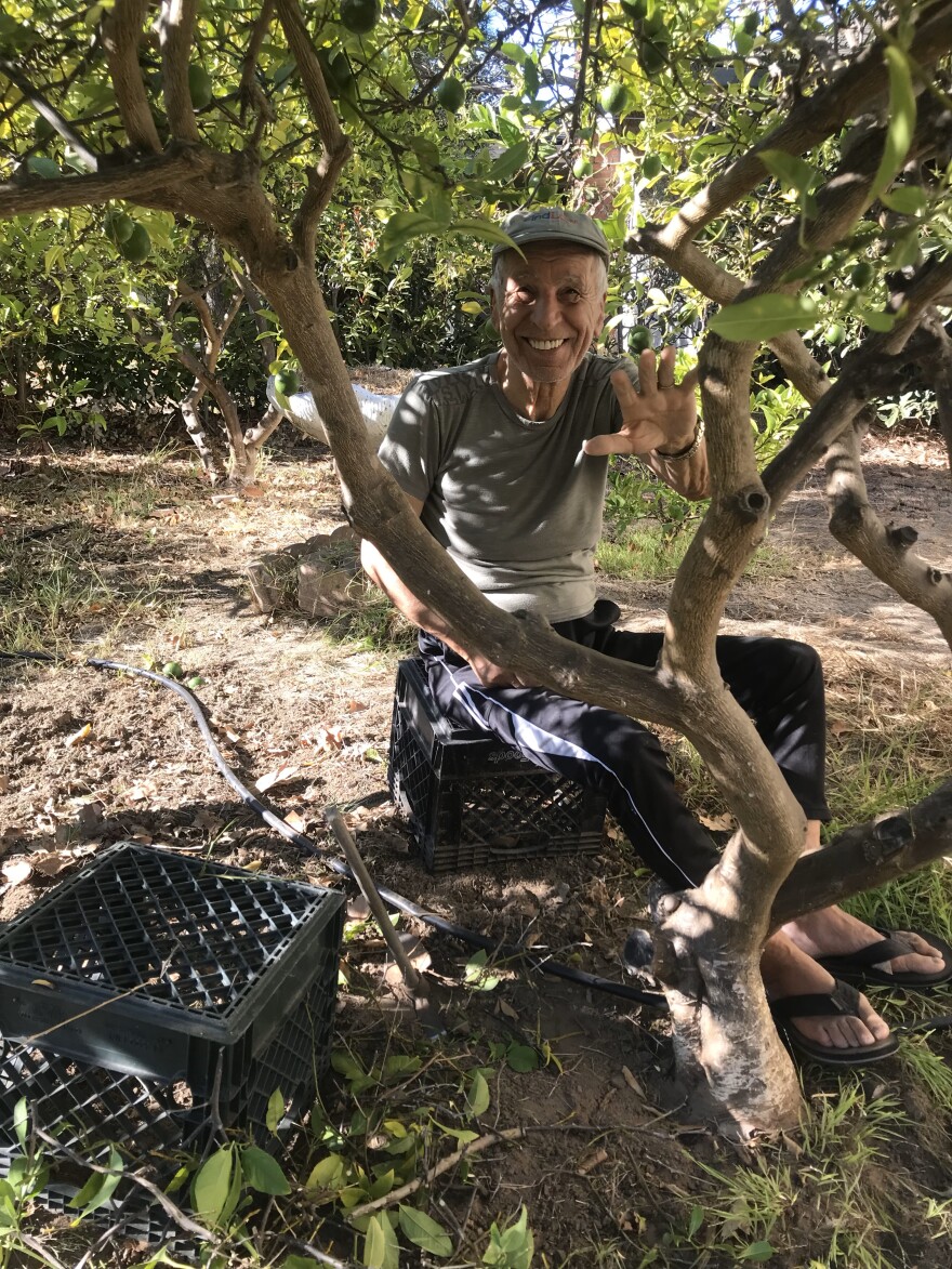 Yaser Yaser in 2020 on his olive farm in Morgan Hill, California