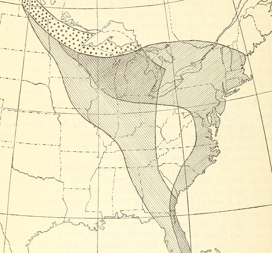 bird_migration__1915___14726746176__0.jpg