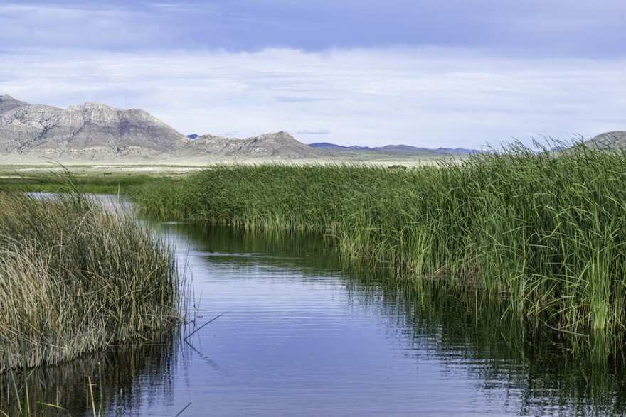 The Wayne E. Kirch Wildlife Management Area in Nevada.