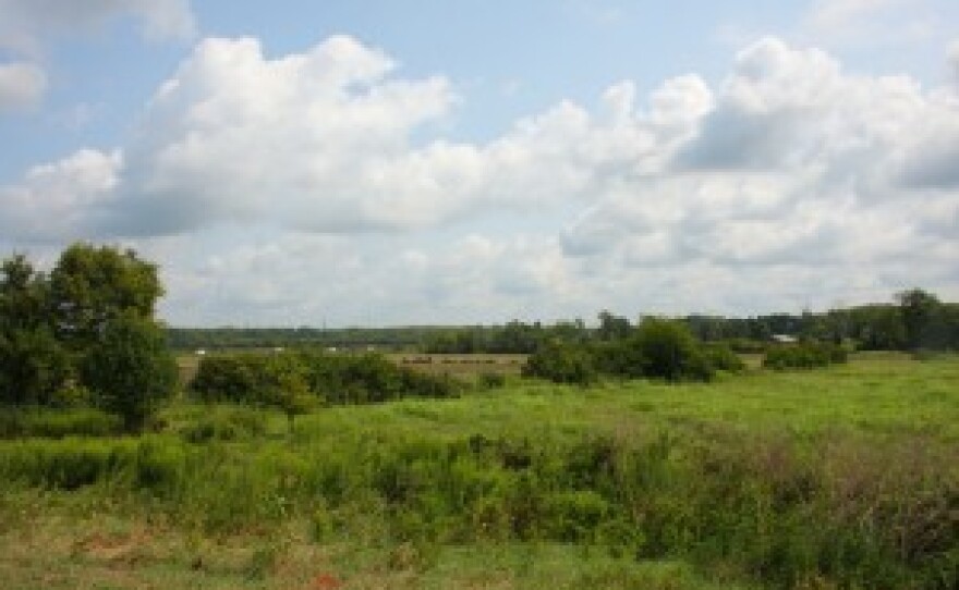 bowyer farm.jpg