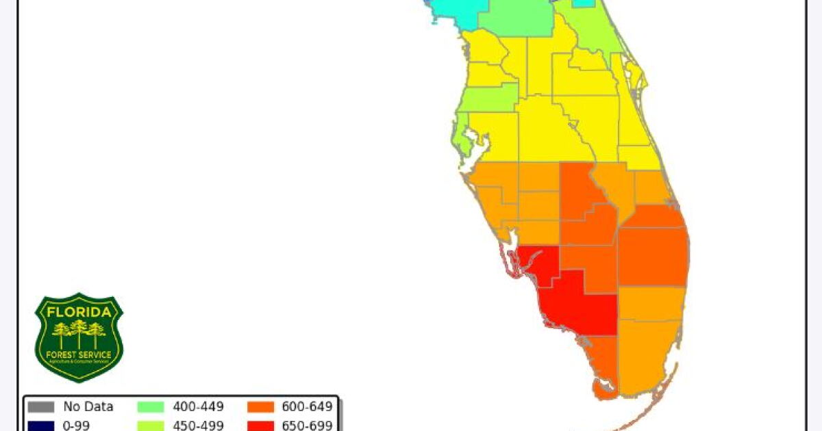 Wildfire threat in Southwest Florida gets real as drought conditions ...