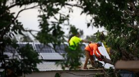 People remove downed trees in Cabo Rojo, Puerto Rico.