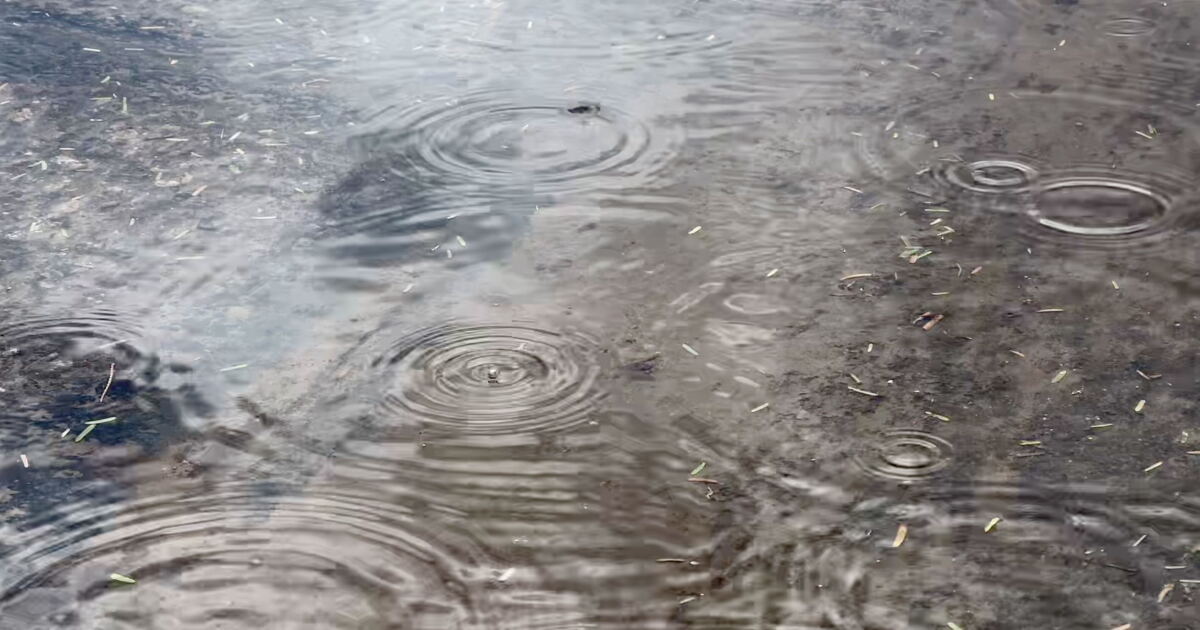 Arizona Flood Watch Issued as Hurricane Polo Remnants Move Inland