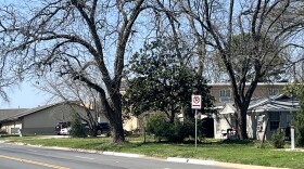 A red "no parking" sign sits on a grassy patch of land with two trees in the background and houses.