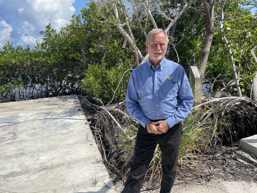 Mayor Richard Johnson in front of trees.