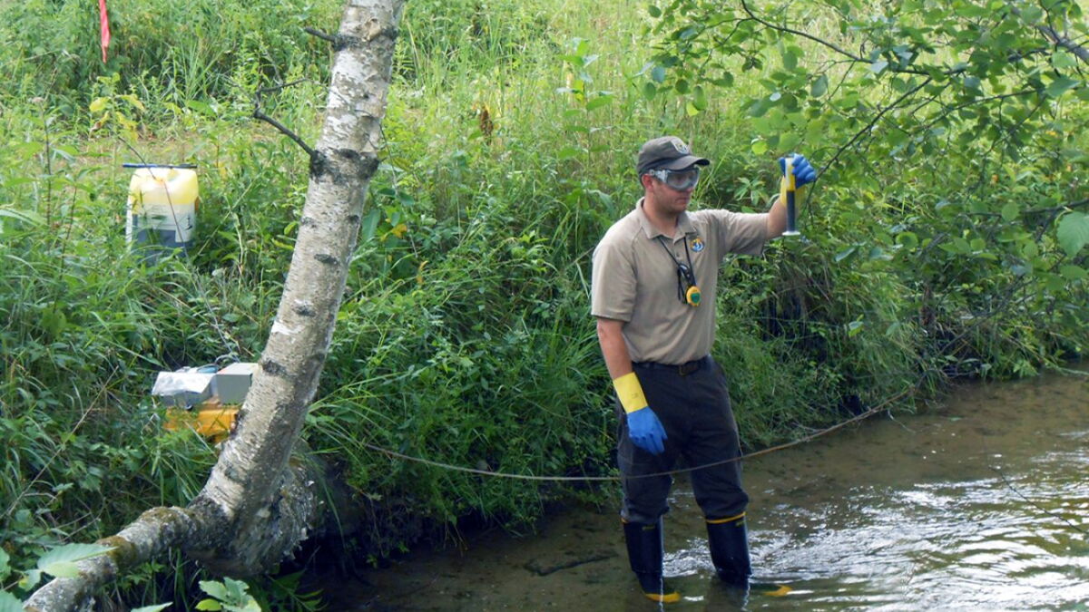 More fallout from Midland dam failures: blood-sucking parasites in rivers - Vimarsana News