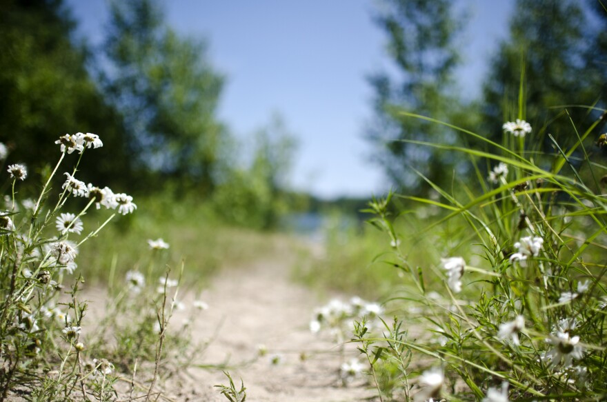 The Escanaba Trails near Boulder Junction in the Northern Highland American Legion State Forest.