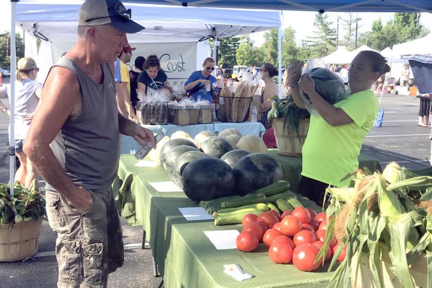 (Lauren Bavis/Side Effects Public Media)