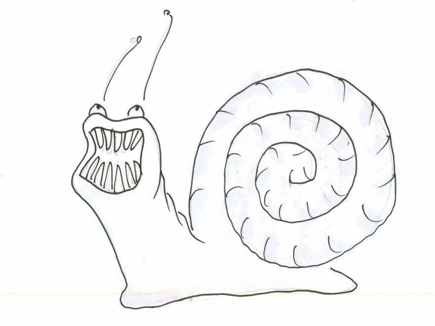 Snail 2