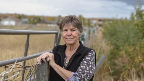 A woman stands in a grassy field leaning against a metal and wood fence.