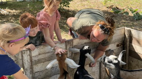 Children pet goats at Doubting Thomas Farms' harvest festival, north of Moorhead, Minn.