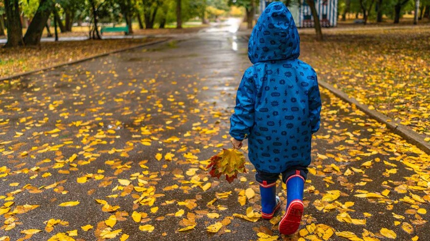 Photo by VisionPic.net from Pexels