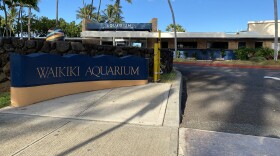 The Waikīkī Aquarium was on the brink of financial ruin due to the pandemic. But support from donors, the University of Hawaiʻi, and state legislature helped see them through. Now the aquarium is looking toward reopening and recovery.