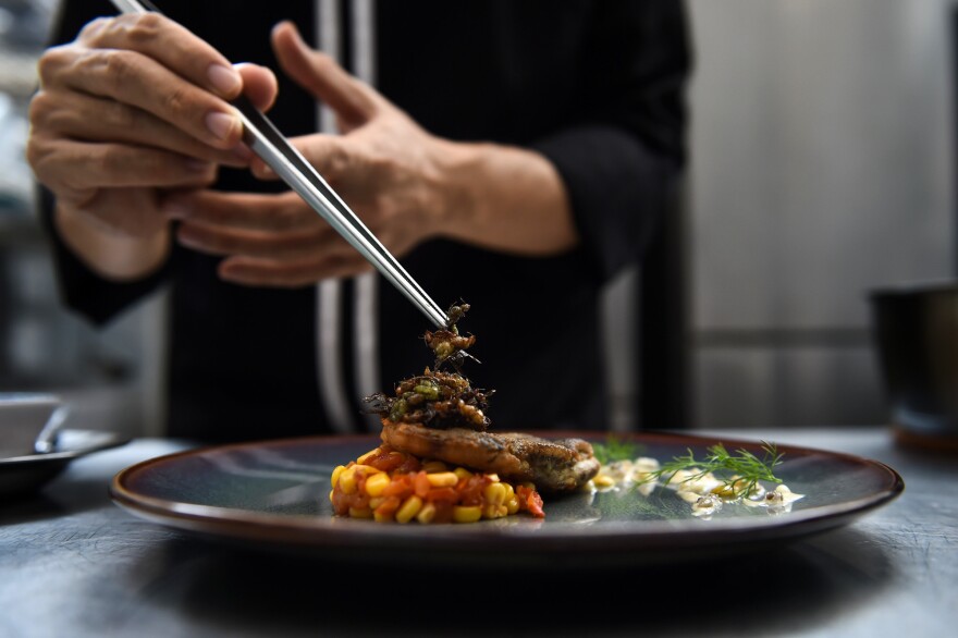 Edible winged ants are placed atop a fish fillet at Insects in the Backyard, a high-end bug-based bistro in Bangkok.