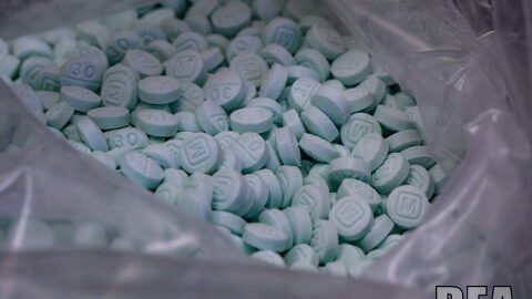 Fentanyl is often bought and sold on the streets of Albuquerque in a pressed pill form often referred to as "blues" meant to look like oxycodone. Advocates say a veterinary tranquilizer called medetomidine is more frequently found cut into street opioids to maximize profits, which can make overdose reversal more difficult and make withdrawal much more deadly.