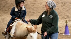 A volunteer at the PALS Adaptive Riding Center leads a young girl on a horse.