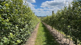 AppleAtcha Orchards will use a $3.5 million loan from the Kentucky Agricultural Development Board to plant about 200,000 trees, according to company CEO Charles Hamm.