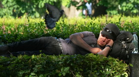 A man sleeps in a park in St. Petersburg, Russia, Monday, July 13, 2026.