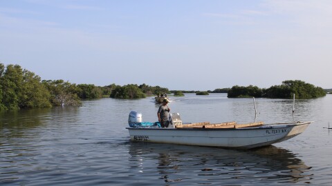 Skiffs topped with wooden “culling boards”, used to sort, clean and measure oysters, return to the dock after dropping off loads of limestone for a reef restoration project. (Rose Schnabel/WUFT News)