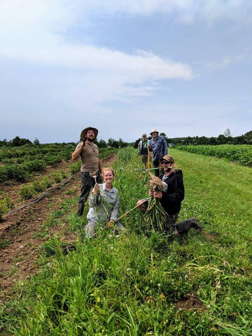 food grown at UMD Land Lab