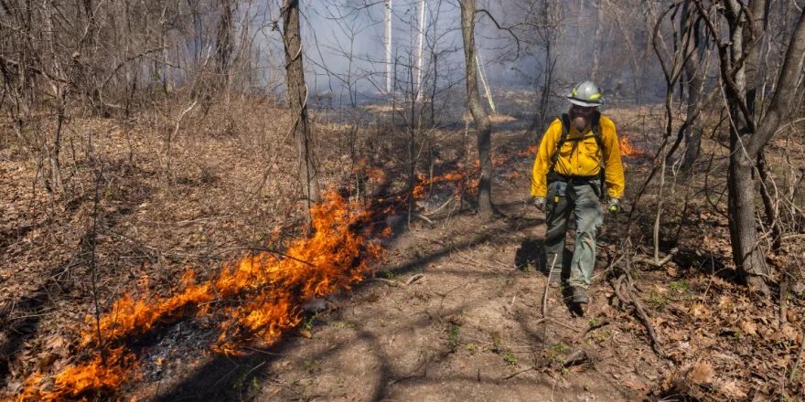 Nathan Speagle walks along the edge of a burn unit as he and other members of The Nature Conservancy’s Illinois Chapter control burn portions of the Shawnee March 25, 2026, in Makanda, Illinois.