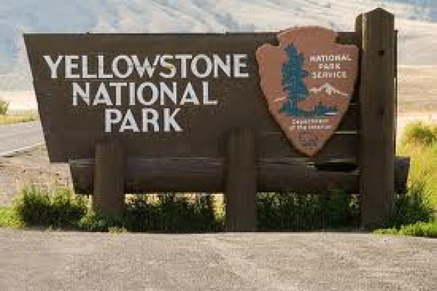 Yellowstone National Park had a busy fall; lots of tourists visiting in