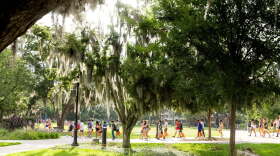 Photo from the University of Florida campus in Gainesville, Florida.