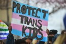 Closeup photo of a person's hands holding a blue, pink and white-striped sign that reads "Protect Trans Kids."