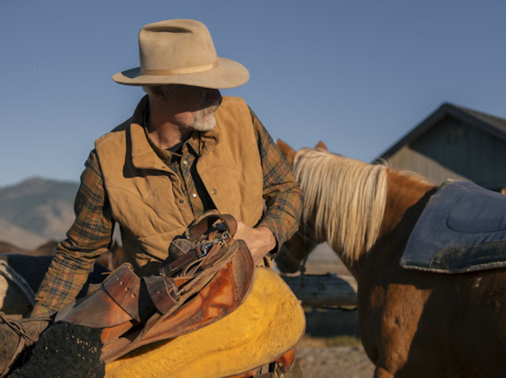 An Idaho rancher lives with his cattle in wolf country. Can Colorado ...