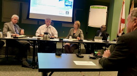 Glenn Landers from the USACE speaking to members of Jacksonville's Special Committee on Resiliency.