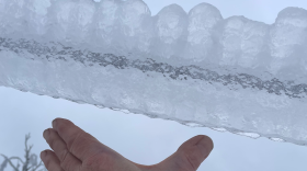 Ice encases a utility line during the ice storm that hit northern Michigan on March 29 and 30, 2025. (Photo: Brian Brachel / IPR)