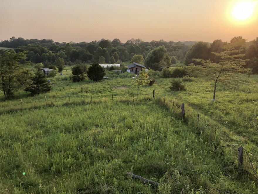 Ben Brownlow grows a variety of trees on his farm in Rutledge, Missouri farm to keep climate-warming carbon dioxide out of the atmosphere. 
