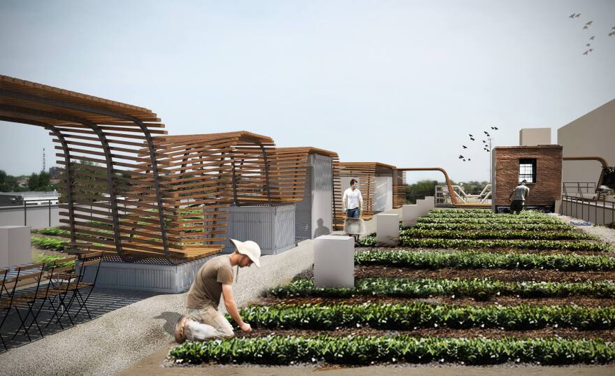 Urban Harvest STL's new farm will cover 10,000 sq. ft. on the roof of a two-story building in downtown St. Louis.