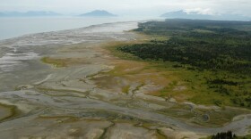 The Good River, near Gustavus.