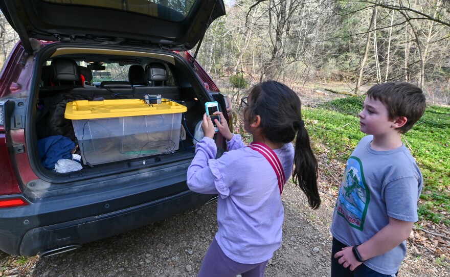 Ariana Siddiqui, 10, and Daniel Vannan, 9, fourth graders in Chris Hall's class take photos of the trout they helped hatch from eggs in their classroom.