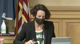 Milwaukee Ald.Marina Dimitrijevic listens during Thursday's meeting of the city's Public Safety and Health Committee.