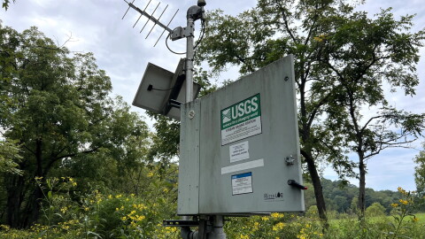 A USGS streamgage is situated in a bank of yellow flowers.
