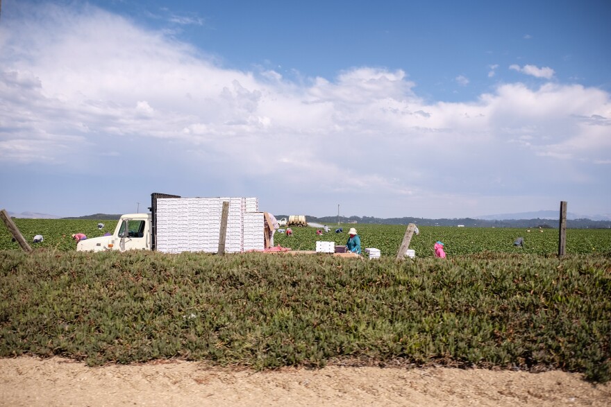 Coachella recently became the first city in the U.S. to require that most agricultural operations pay an additional hazard pay to their employees. Farmworkers have been disproportionately affected by COVID-19.