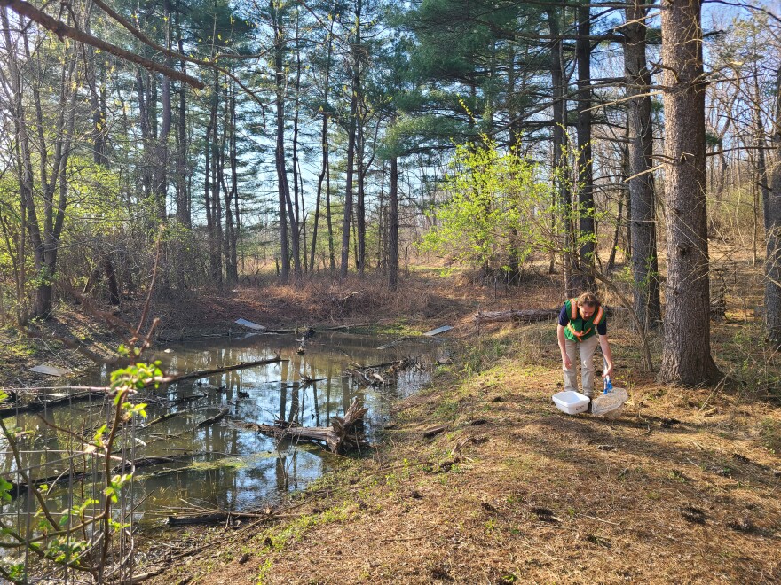 man places nets and buckets next to a small pond