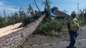 An electric company employee surveys the damage done to the power lines next to a large tree that fell on a house following the passage of Hurricane Laura in Lake Charles, Louisiana, on Aug. 27, 2020. (Andrew Caballero-Reynolds/AFP via Getty Images)