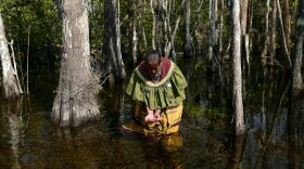  Betty Osceola in the water of the Everglades