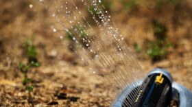 A sprinkler sprays water on a brown lawn