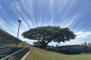 A photo of a "radiant cloud" featured on this week's installment of Homeroom Hawaiʻi. (Sept. 2026)