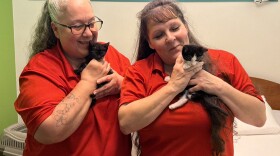 From left: Women's Community Correctional Facility inmates Sherri Ann Johnston and Paulette Paulich holding kittens Junior and Minnie.