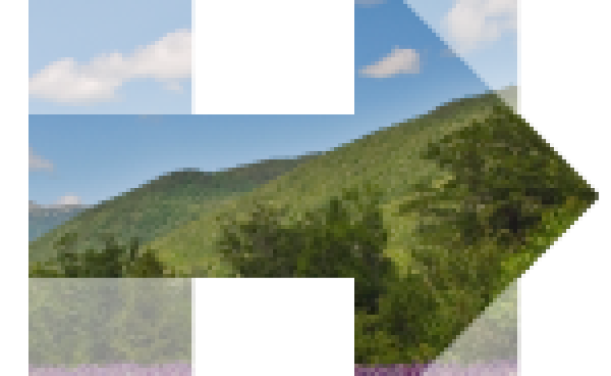 The Clinton campaign's New Hampshire logo.