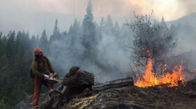 Idaho fire: Parker Ridge