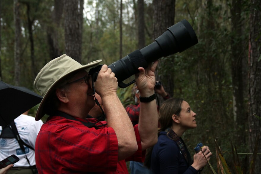 Robert Boxley scans the treetops for birds with his camera. "My wife can tell you the names of every little bird that's out there," he said. "I am not quite so savvy in that regard, but I try to take pictures of the birds she spots." (Mikayla Johnson/WUFT News)