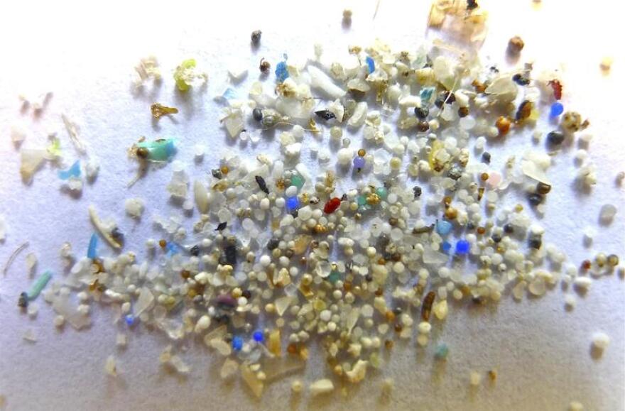 photo of microplastics