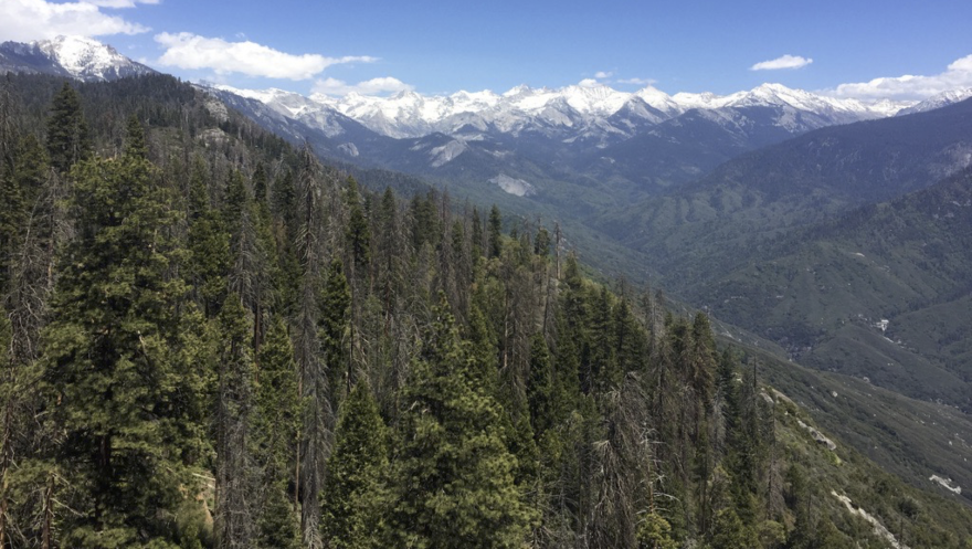 An aerial view of a green forested mountainside with forested and snow-capped mountain ranges in the distance.