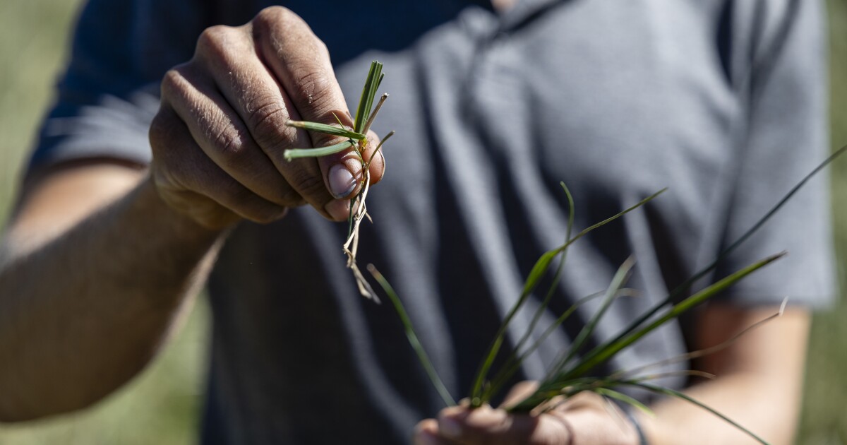 Trump Admin Boosts Regenerative Ag with $700M USDA Program